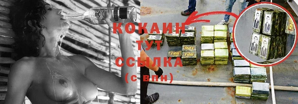 МДПВ Сосновка